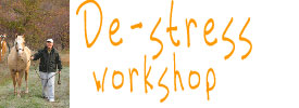 De stress workshop