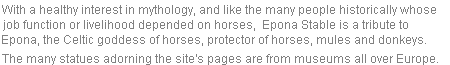 Horseback riding near Vancouver