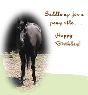 Birthday Party Pony rides