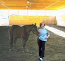 Obstacle course in the indoor arena